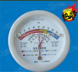 HM-10挂壁式温湿度表