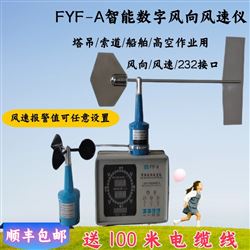 FYF-A智能风向风速仪标配100m电缆